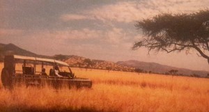 kenya-tanzania-safari-combination